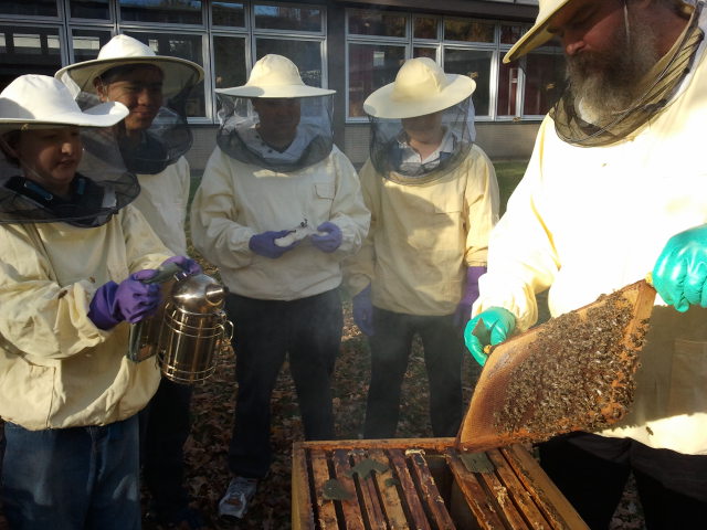 Die Bienen-AG in voller Aktion